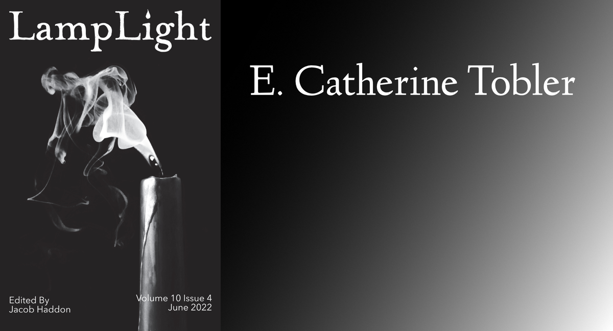 This is A Newsletter Post